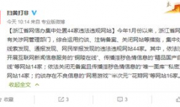 国产成人精品在线