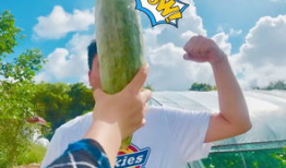 各种网红爆料吃瓜在线观看,揭秘娱乐圈幕后故事