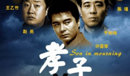 电视剧孝子演员表,温情演绎，感人至深的亲情故事