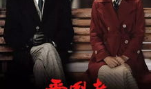 电视剧爱国者演员表,实力派明星齐聚，演绎烽火岁月传奇